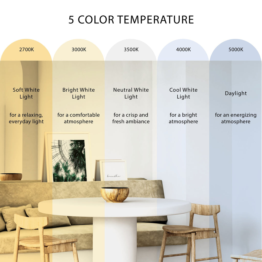 Vivi 14-in Wall/Vanity Light