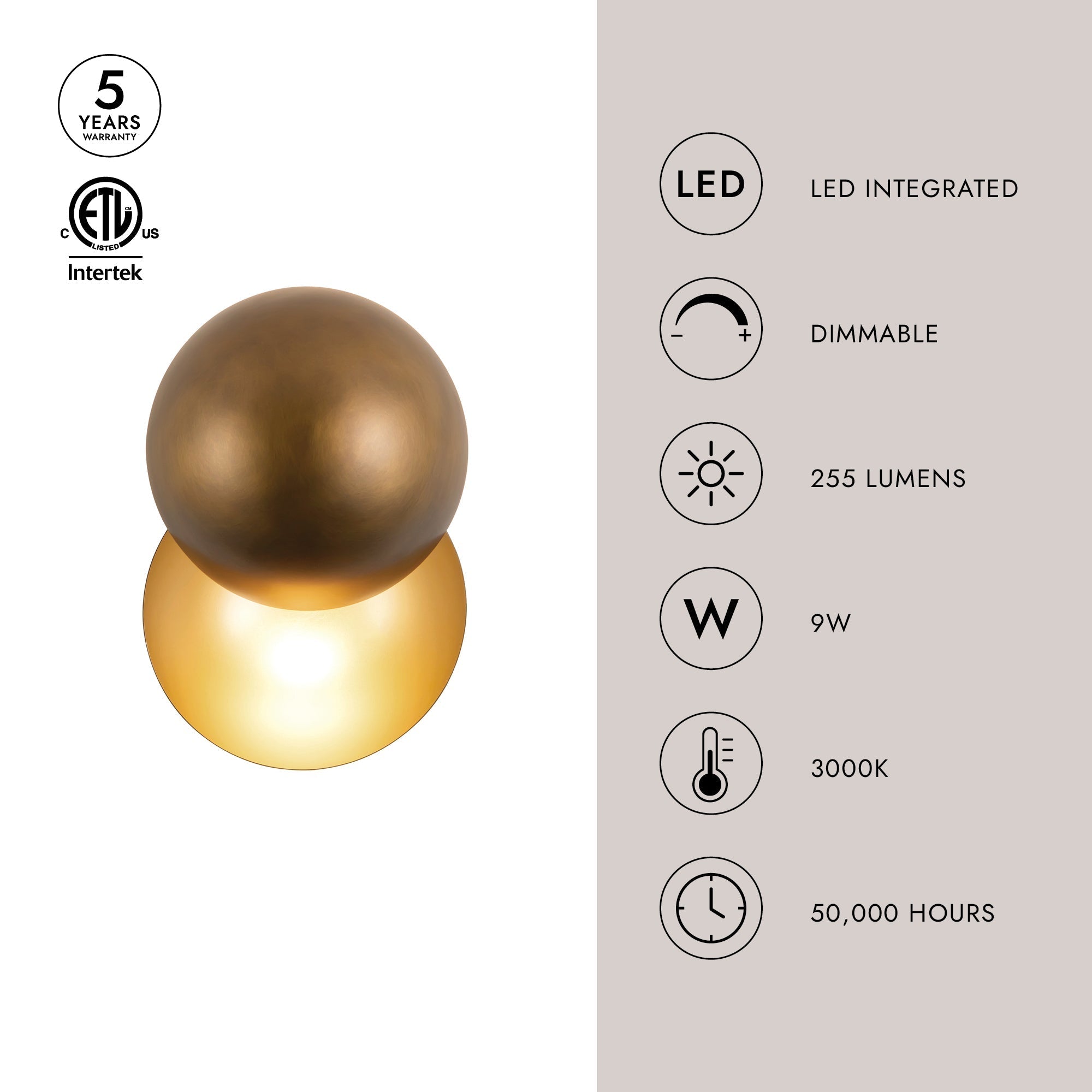 Void 12-in Wall Sconce