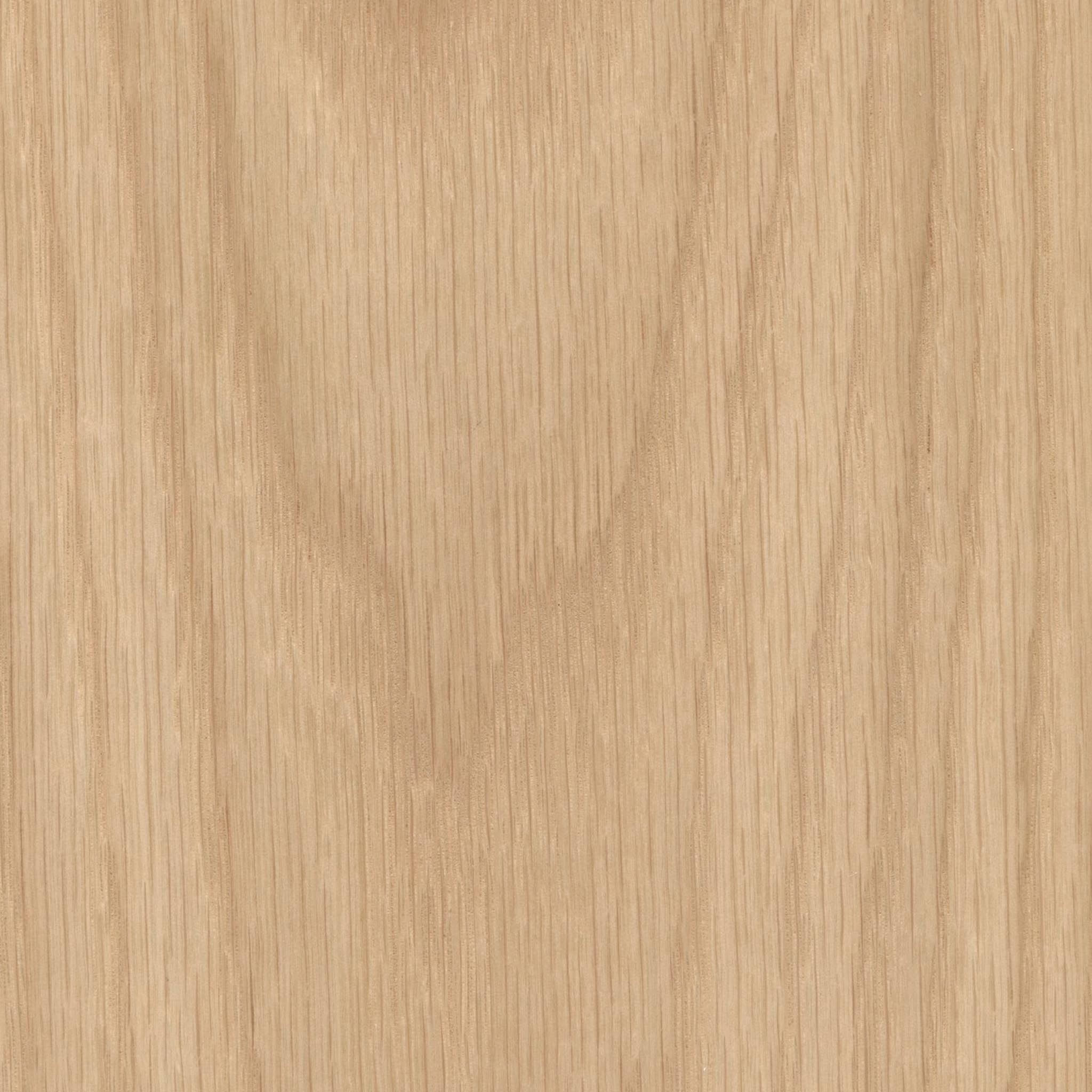 Morina 12-in Pendant