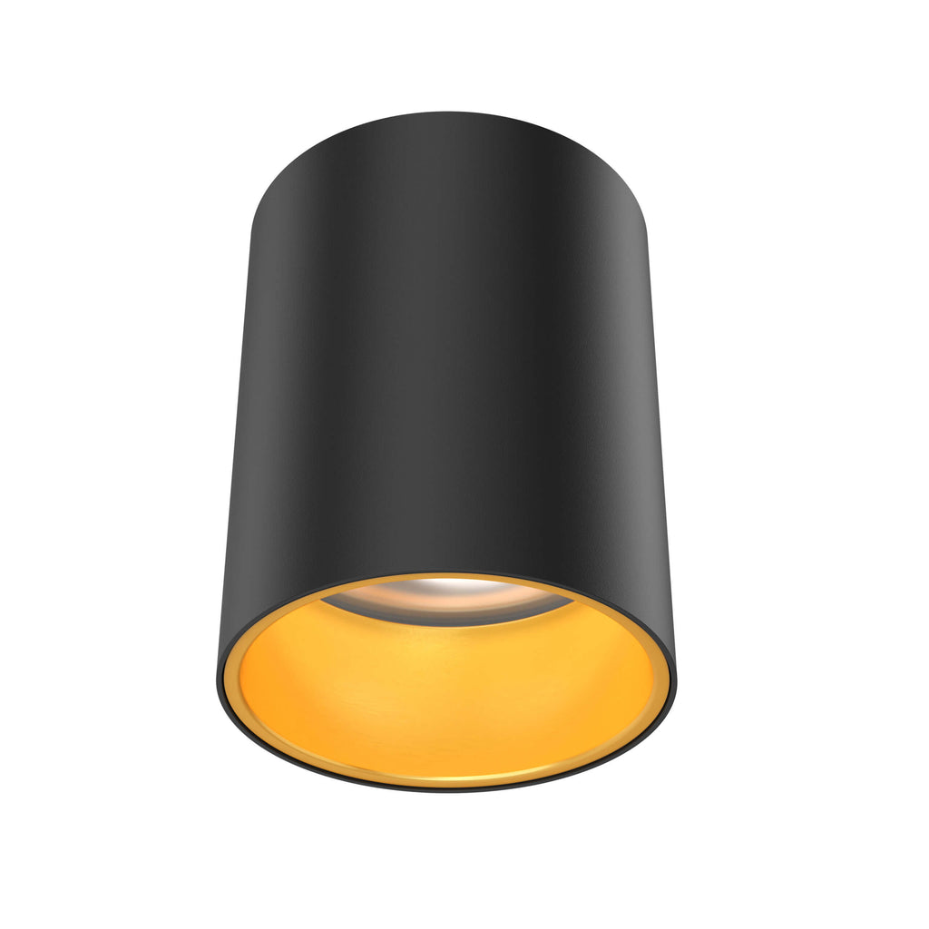 5in cylinder flushmount - Trim Alztec