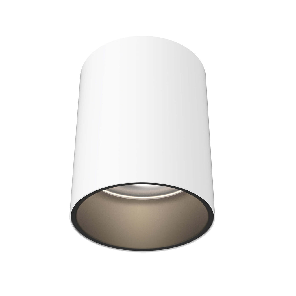5in cylinder flushmount - Trim Alztec