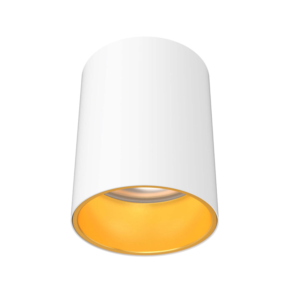 5in cylinder flushmount - Trim Alztec