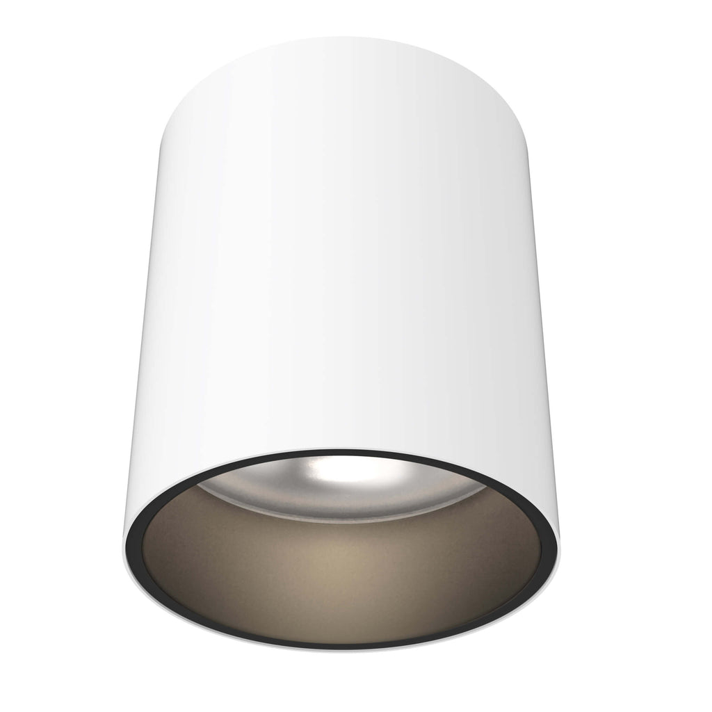 6in cylinder flushmount - Trim Alztec