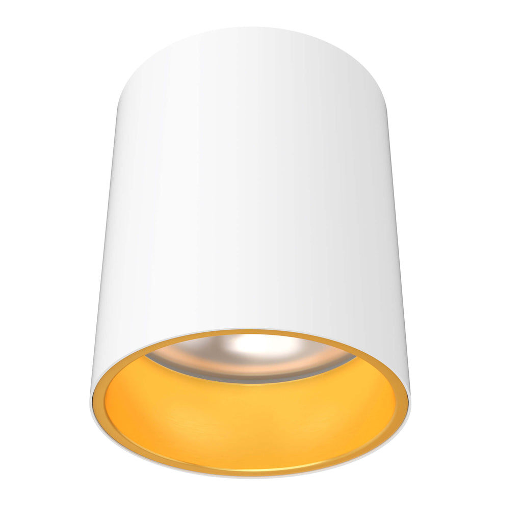 6in cylinder flushmount - Trim Alztec