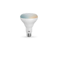 DALS CONNECT PRO Smart BR30 LED Bulb