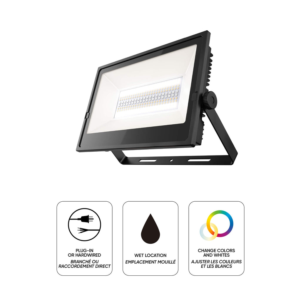 DALS CONNECT PRO 100W Smart Flood Light