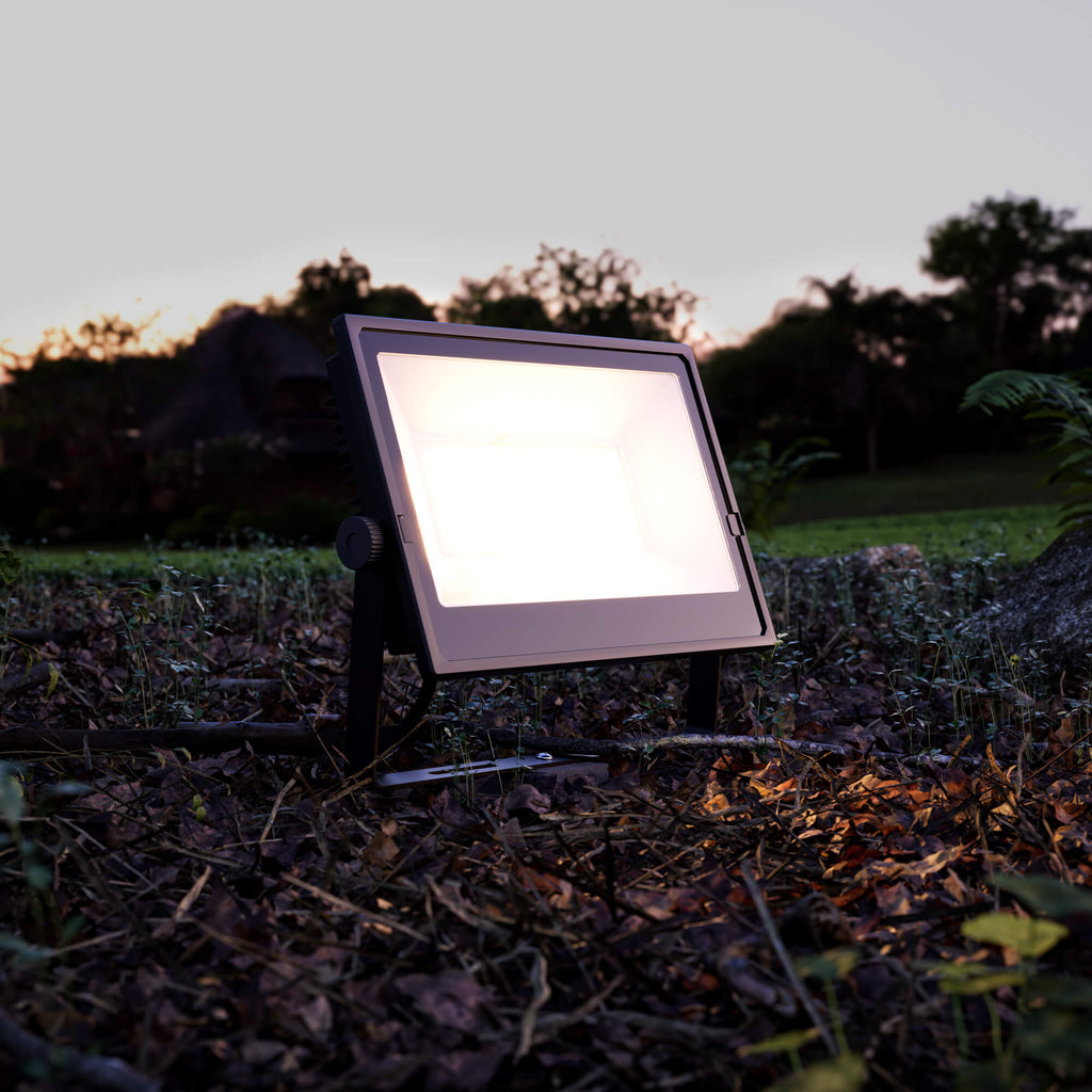 DALS CONNECT PRO 100W Smart Flood Light