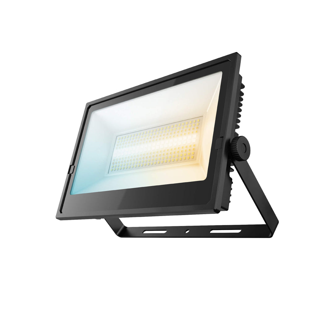 DALS CONNECT PRO 100W Smart Flood Light