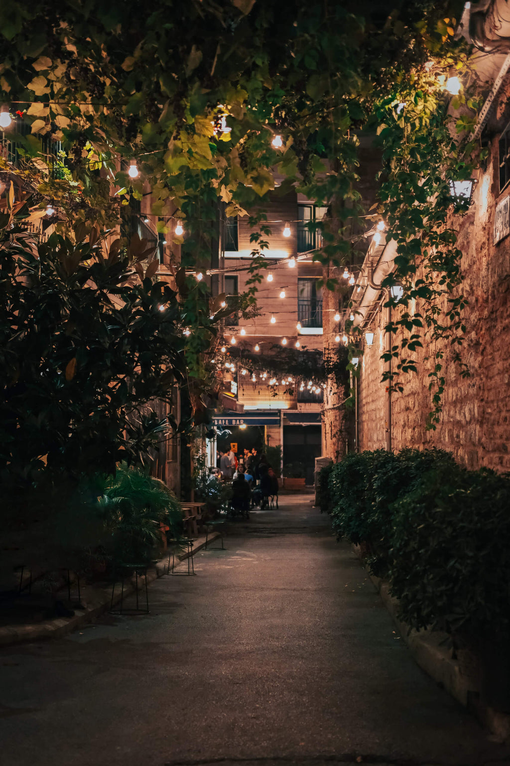 DALS CONNECT PRO Smart outdoor string light RGB+CCT 48', 15 Lights