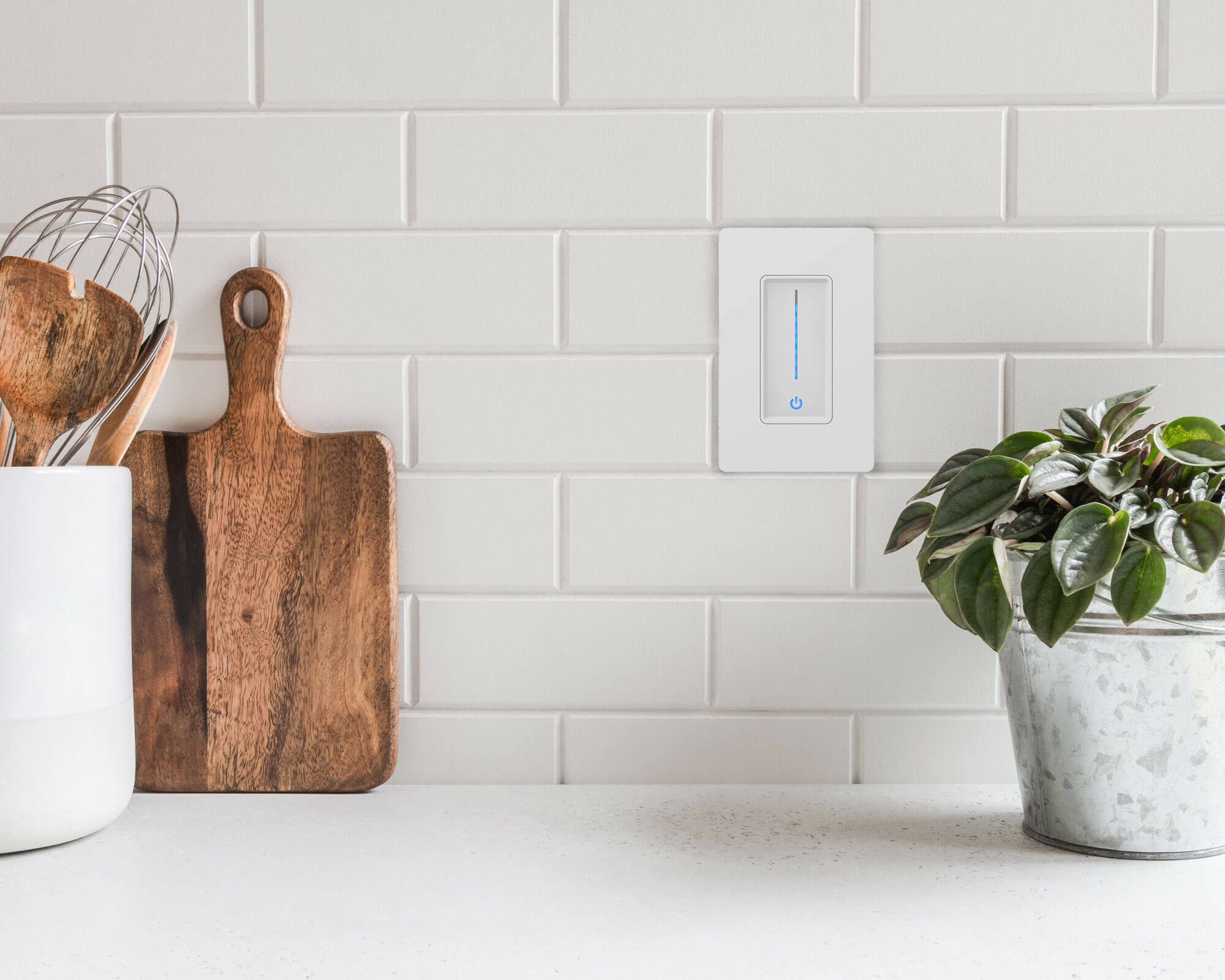 Dimmer with integrated driver, 120 AC,24VDC, 48W