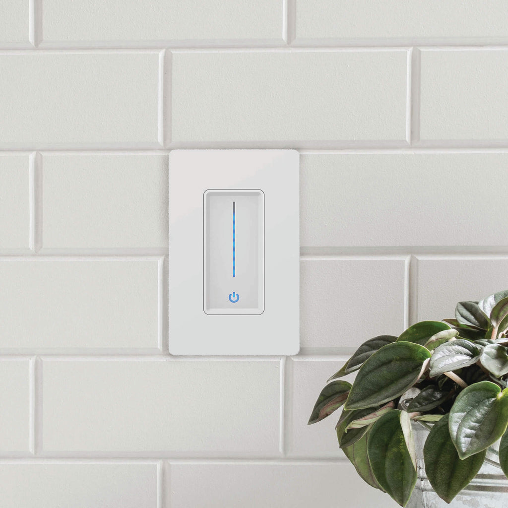 Dimmer with integrated driver, 120 AC,24VDC, 48W