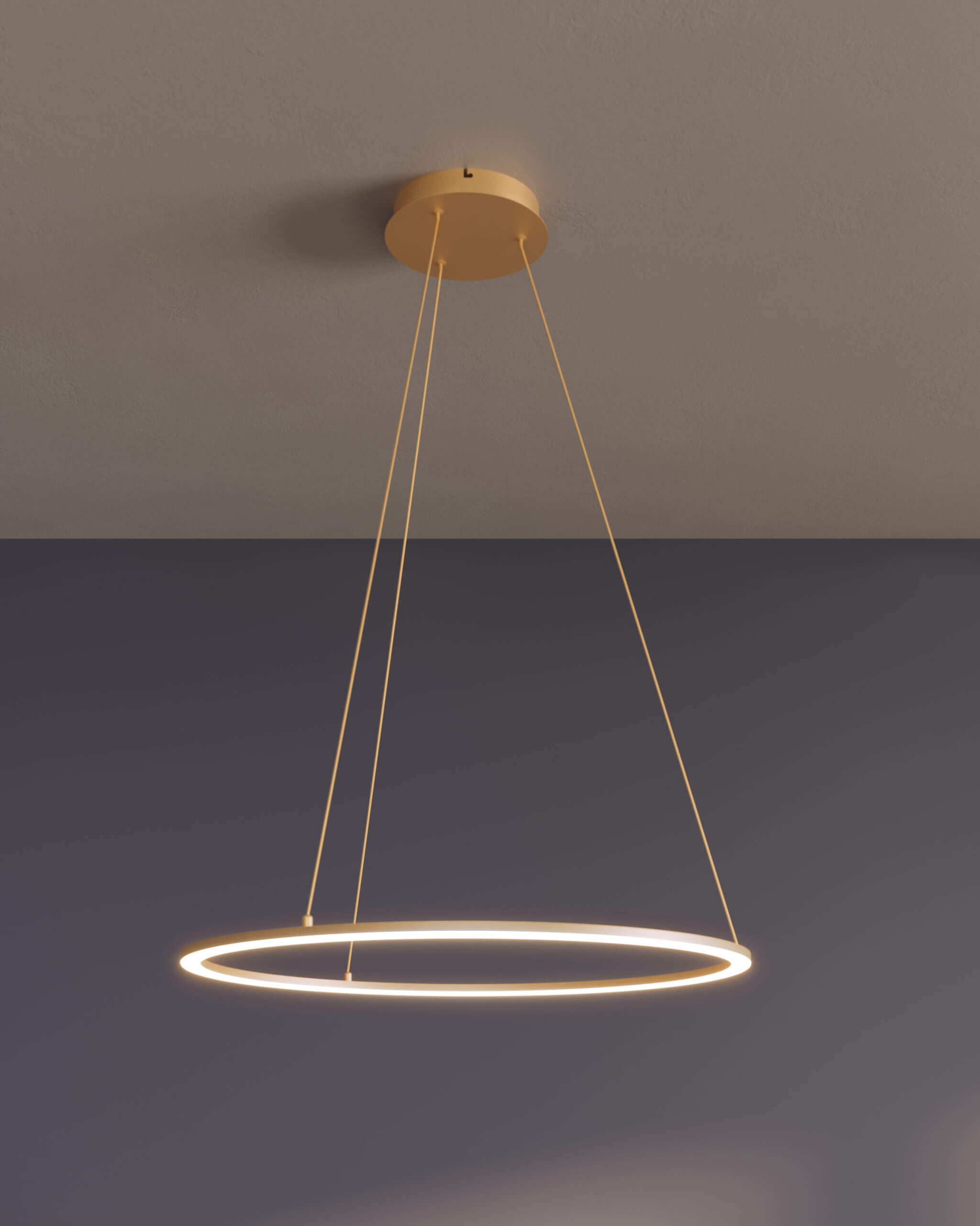 24in Circle pendant, 5CCT